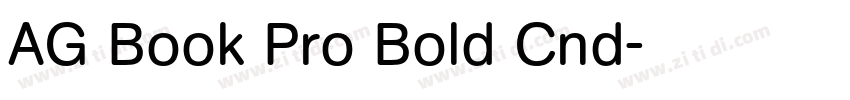AG Book Pro Bold Cnd字体转换